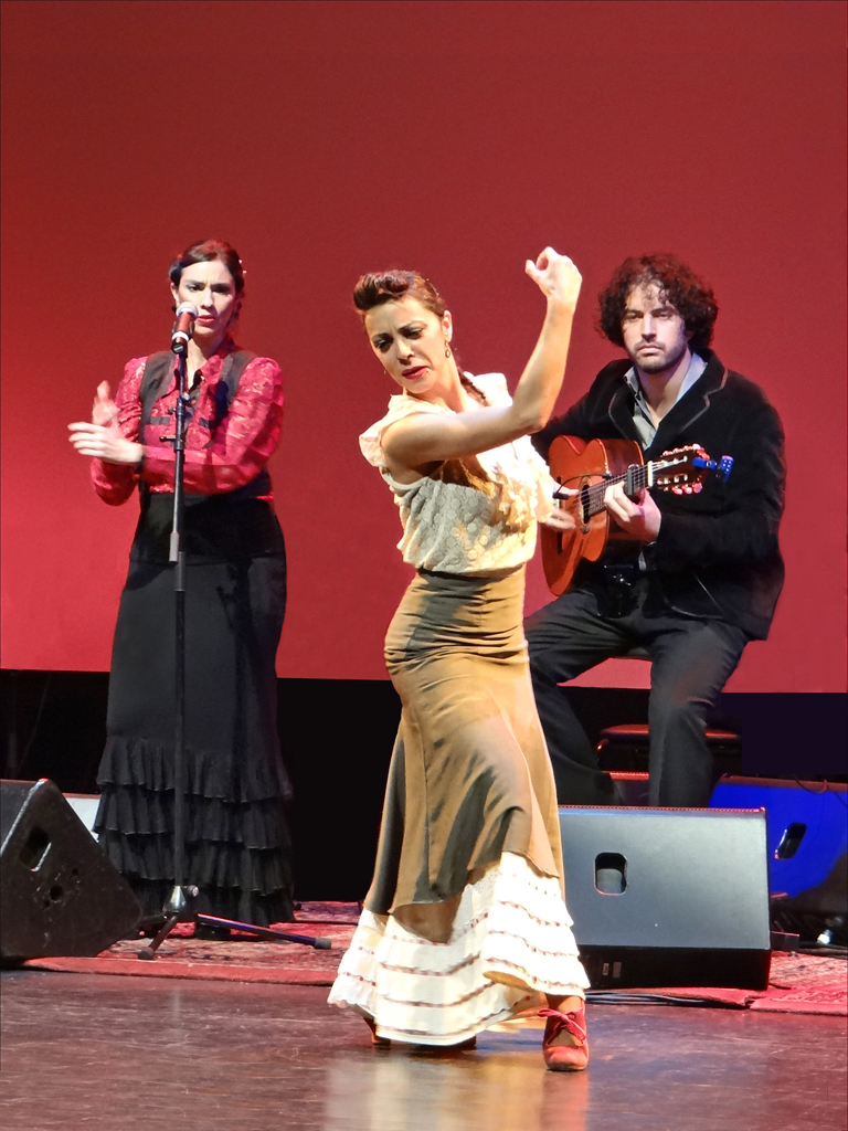 danseuse flamenco